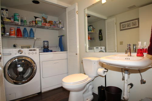 Lower level fireplace